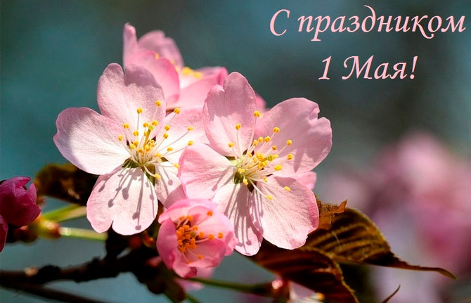 С праздником Весны и Труда